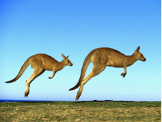 Matlab��ͼƬ����Ƶ���ļ�