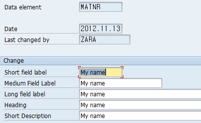 ����ϵͳDATA ELEMENT���ı�  Text Enhancement