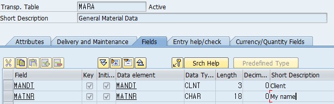 ����ϵͳDATA ELEMENT���ı�  Text Enhancement