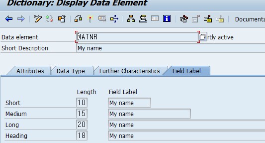����ϵͳDATA ELEMENT���ı�  Text Enhancement