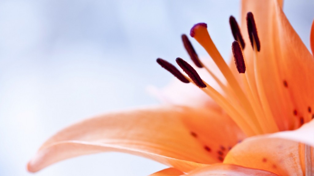 ���̱��&mdash;fork��getpid��exit