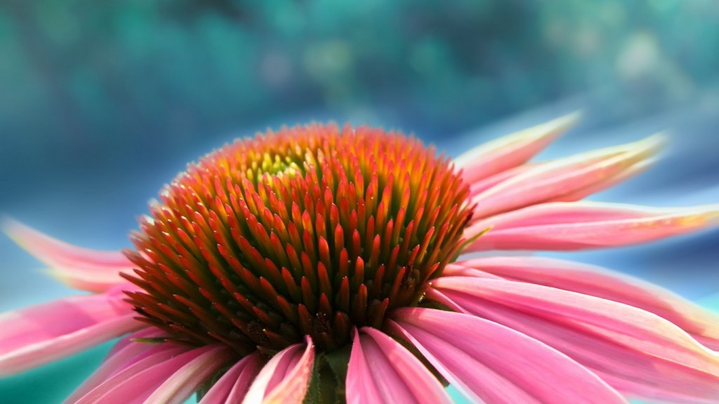 ���̱��&mdash;fork��getpid��exit