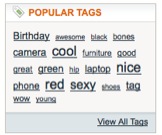magento ������ҳ���� How to manage home page sidebar blocks