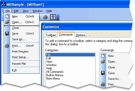 ������  ���������û��Զ���˵��͹�����