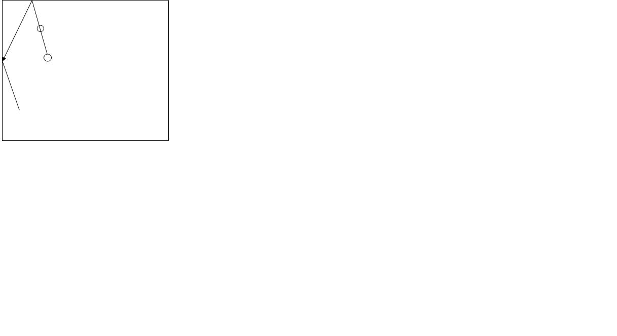 ����ѡ����������