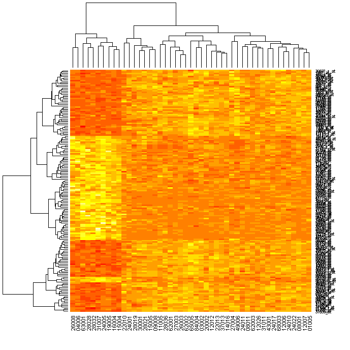 R���Ի���heat��ͼ��ͼ