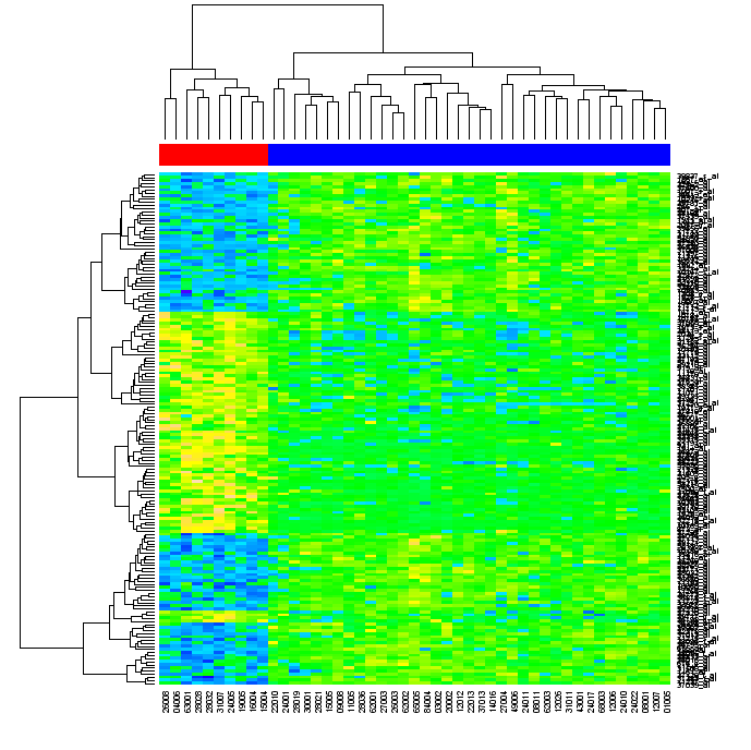 R���Ի���heat��ͼ��ͼ