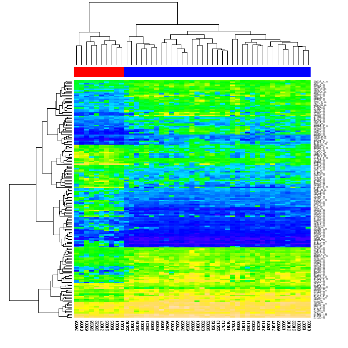 R���Ի���heat��ͼ��ͼ