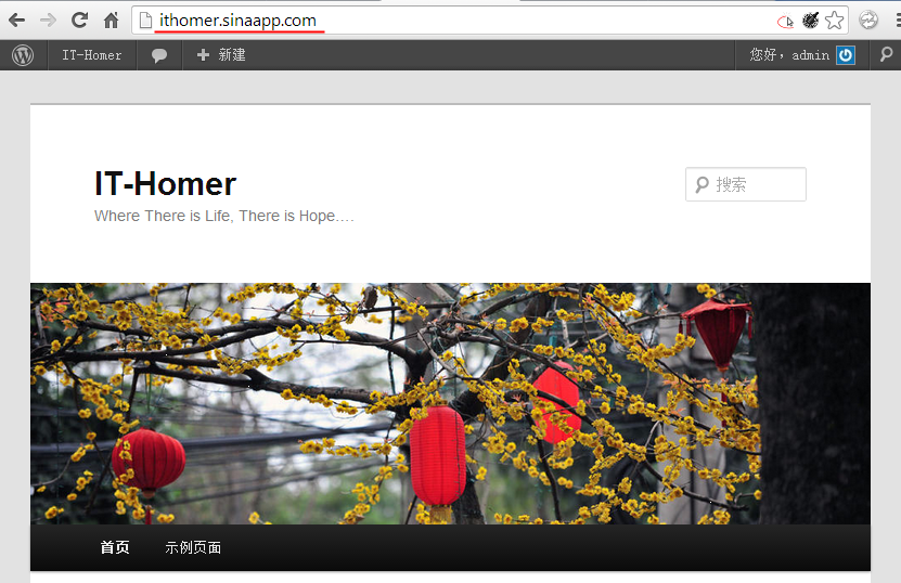 SAE ｨ WordPress