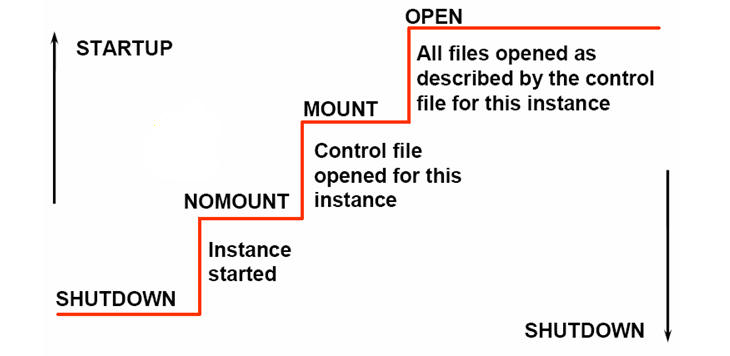 Oracleݿ𲽹̵ļ׶(SHUTDOWN -> NOMOUNT -> MOUNT -> OPEN)