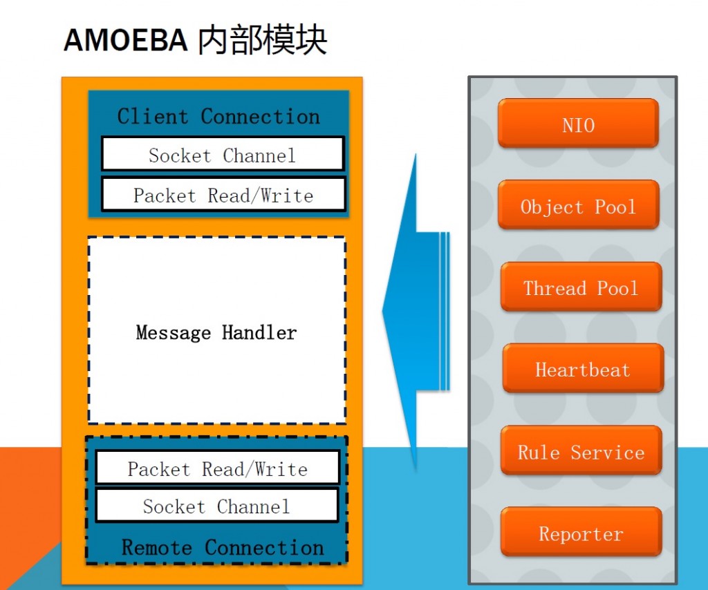 amoebaԴ(2)-amoebaģԼԴṹ