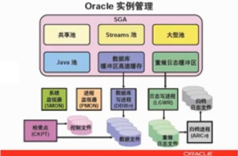 oracleϵṹ