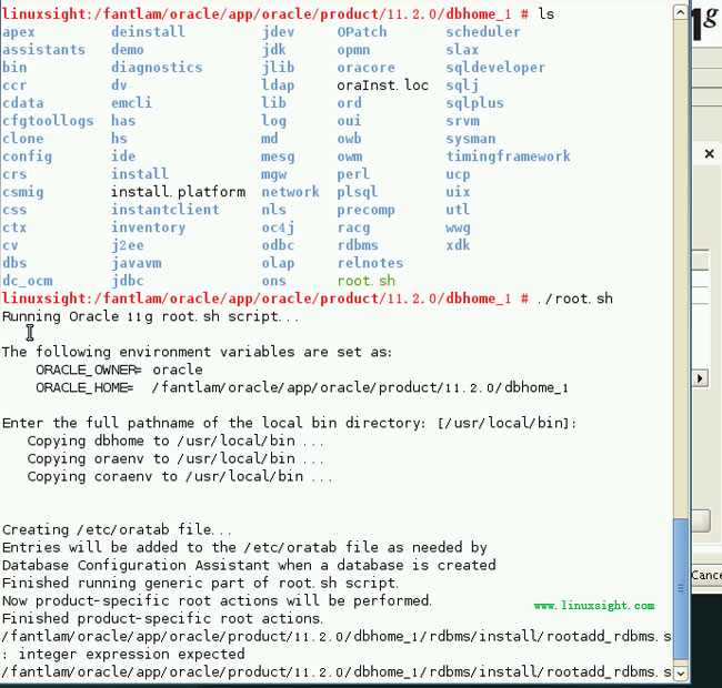 Suse Enterprise 11 װOracle 11.2