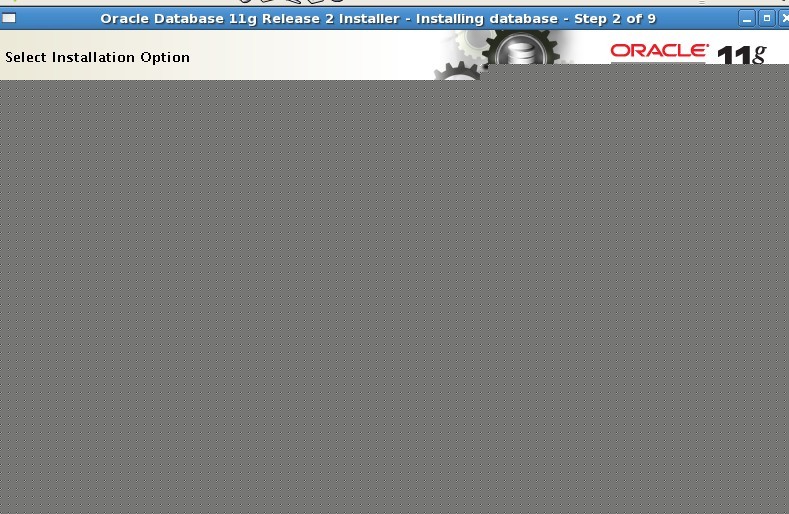 oracle 11gR2 VMװ䲽