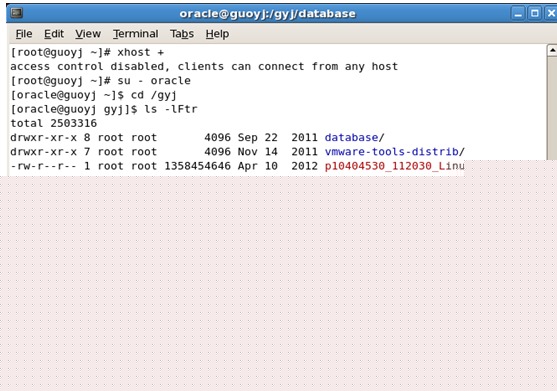 [ÿһ]  11gOCP 1z0-052 :2013-09-5   runInstaller oracle of  no  swap