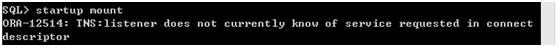 Oracle쳣 ora-12514 취