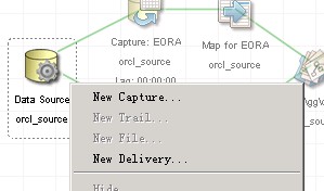 GoldenGate Directorװ估ĵ