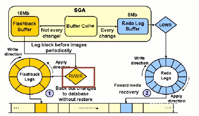 FlashBackС֮ݿɾ(ԭ)