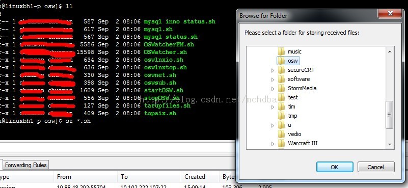 XshellϴļأlinuxдӶssh¼dbserverļУ