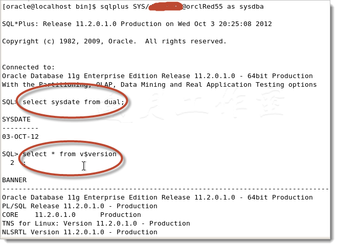 VirtualBoxϰװRHEL5.5+Oracle 11gּ