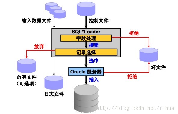Oracle DB Ų