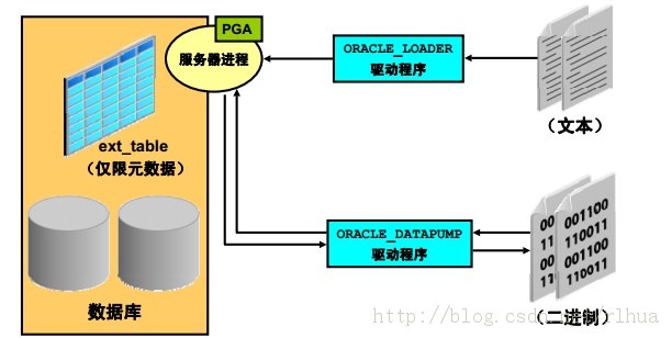 Oracle DB Ų