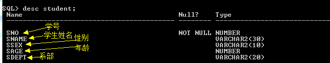 Oracle 11gϵСߡSQL ѧϰ