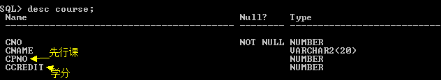 Oracle 11gϵСߡSQL ѧϰ