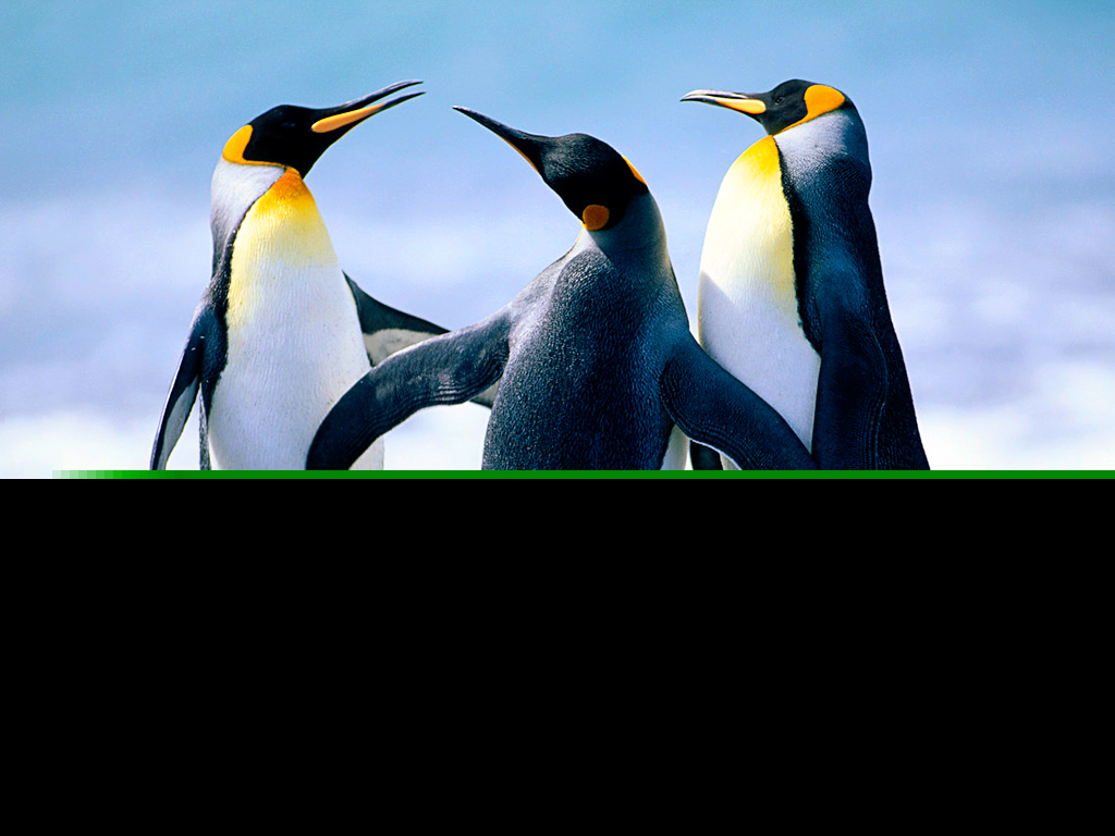 oracle11gԶ�̵�¼����������ʹ��plsqldev����sqlplusԶ�̵�¼��