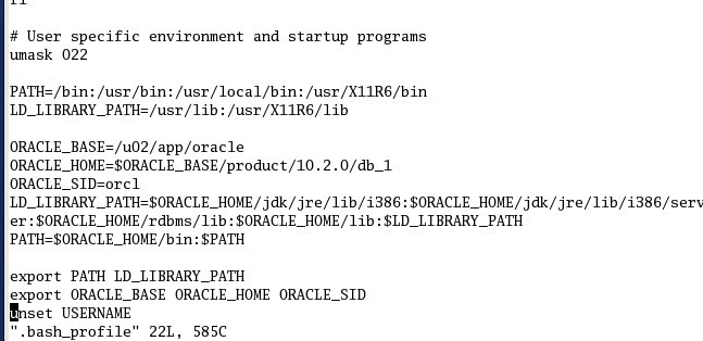 ��linux�°�װoracle���й�����