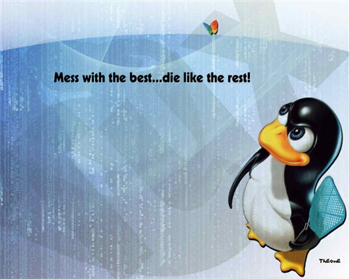 Linux ��ά�ռ�(3D)����Ч�������İ�װ��ʵ��