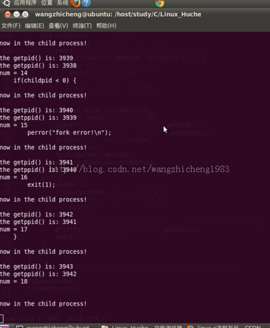 ��С����һ����̽��Linux��fork��mutex�Ļ��ʹ��