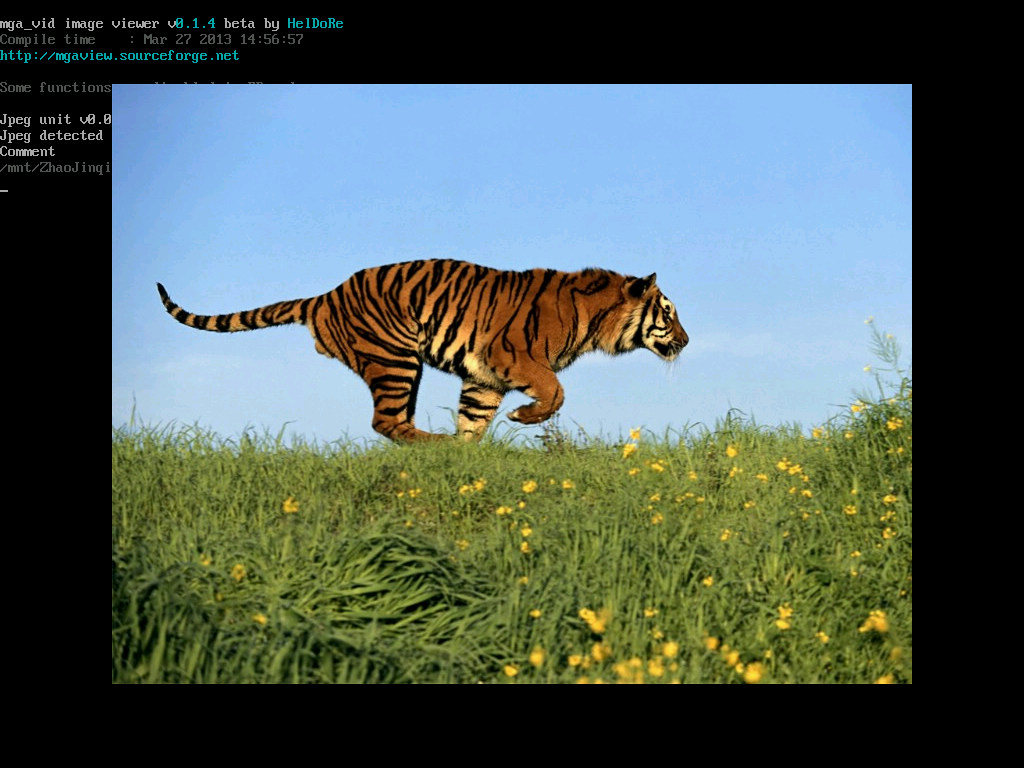 �����ַ�����Ķ�ý��Linuxϵͳ