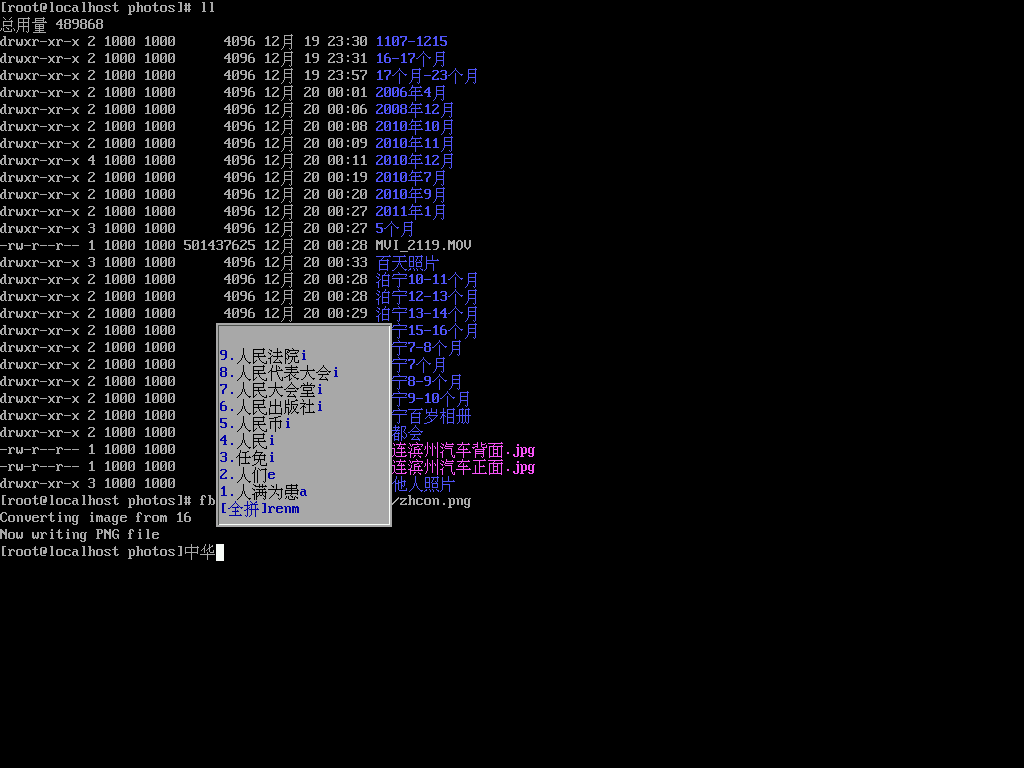 �����ַ�����Ķ�ý��Linuxϵͳ