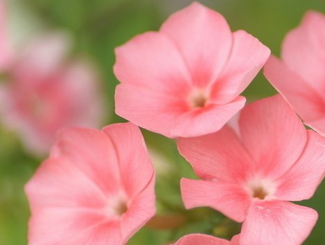 linux�ϣ���ȡ���ظ��ַ���