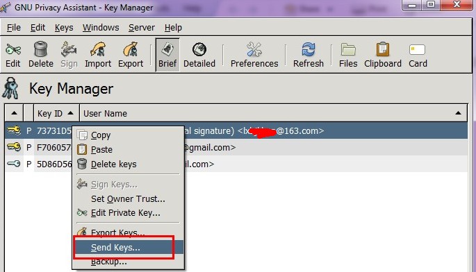 gpg4win+thunderbird+enigmail���ֵ����ʼ�ǩ�������