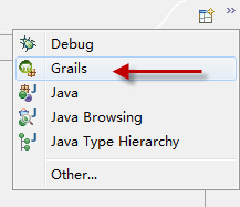 �ｨGrails��������