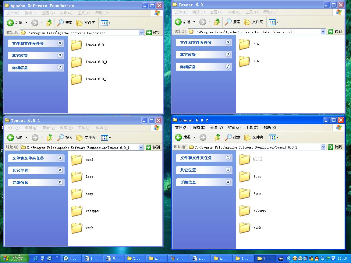 ����Tomcat(1)