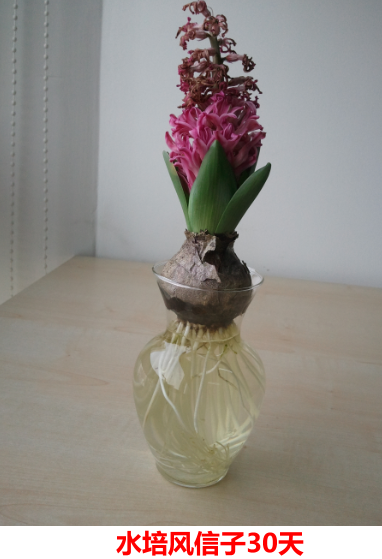 ���ERP���崸:�������λ���ֺ���