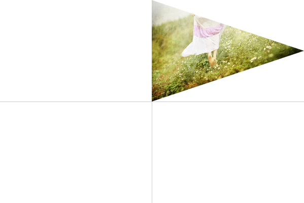 flash3d���ڽ���֮����֪ʶ01-drawTriangles����������[ת]