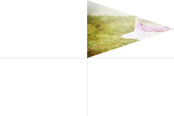 flash3d���ڽ���֮����֪ʶ01-drawTriangles����������[ת]