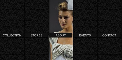 �����������flash��ʽ��jQuery�����Ͳ˵�