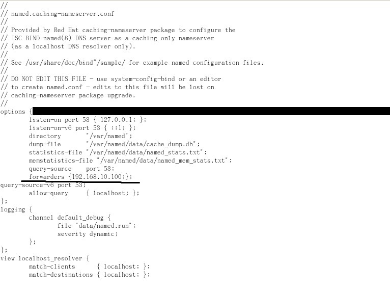 rhel �� dnsת��������
